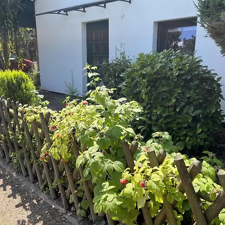 Boddenhus Casa vacanze *